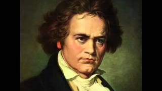 Beethoven Symphony No 1 in C major Op 21 Complete [upl. by Fabi]