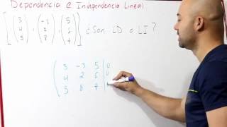 Dependencia e Independencia Lineal  Vectores  Álgebra Lineal [upl. by Mathew]