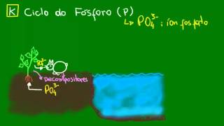 Ciclo do Fósforo  Ecologia  Biologia [upl. by Thirzi310]