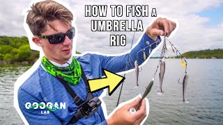 HOW TO FISH A UMBRELLA RIG  Alabama RIG [upl. by Nai]