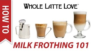 Milk Frothing for Beginners [upl. by Innis707]