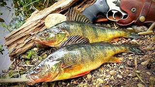 GIANT PERCH Catch amp Cook Fried Nuggets BACKWOODS STYLE [upl. by Root]