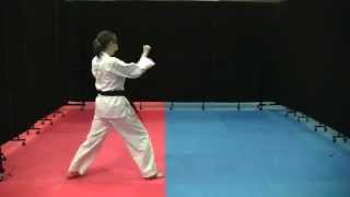 ToSan Kata  Lake Arlington Karate Academy [upl. by Ahsatam819]