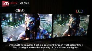 OLED VS LED TV  Side by Side Comparison [upl. by Blondelle184]