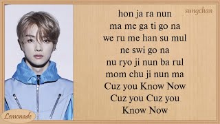 NCT U  Know Now Easy Lyrics [upl. by Enayd995]