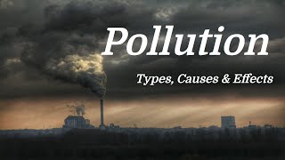 Pollution Mini Documentary Types  Causes  Effects [upl. by Eneirda]