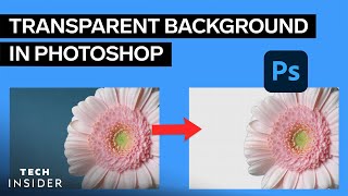 How To Make A Background Transparent In Photoshop [upl. by Jorey849]