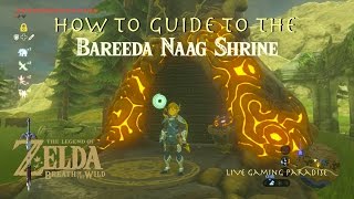 Breath of the Wild  Bareeda Naag Shrine Guide and Location [upl. by Dag]