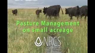 Small Pasture Management cc [upl. by Hsilgne]