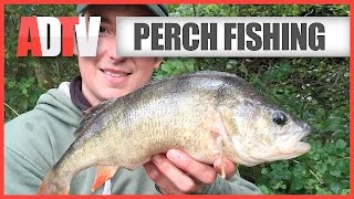 How To Catch Perch  Perch Fishing Tips [upl. by Joslyn]