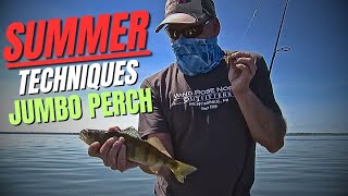 Fishing For Jumbo Perch  Summer Techniques [upl. by Neeruan487]