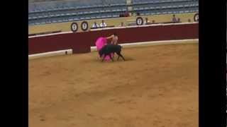 Bullfighting in Spain [upl. by Allebram]