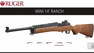 RUGER MINI14 RANCH review amp shooting [upl. by Zonda562]