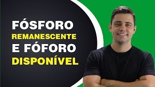 Fósforo remanescente e fósforo disponível  Daniel Scotá  AgricOnline [upl. by Vasili]