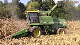 JOHN DEERE 6620 TURBO Combine Harvesting Corn [upl. by Ruthi]