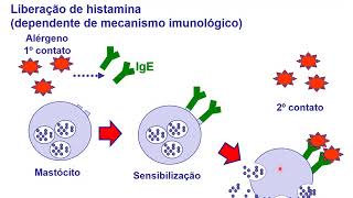 HISTAMINA E ANTI HISTAMINICOS [upl. by Kcirdnekel]