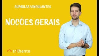 Súmulas Vinculantes  Noções Gerais [upl. by Ahtelra]