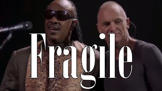 Stevie Wonder amp Sting  Fragile English amp French OnScreen Lyrics [upl. by Esinnej]