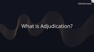 What is Adjudication [upl. by Luht]