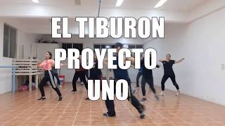 EL TIBURON PROYECTO UNO COREO [upl. by Dowling]