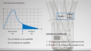 Validación Parte primera principios básicos [upl. by Miller]